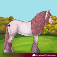 Horse Color:Watercolor Gold Champagne Dun 
