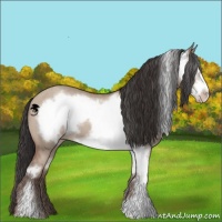 Horse Color:Classic Champagne Dun Sabino Frame 