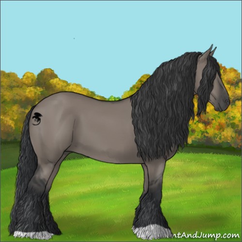 Horse Color:Grullo 