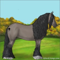 Horse Color:Grullo 