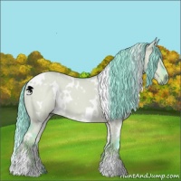 Horse Color:Watercolor White Spotted Liver Red Dun Sabino 