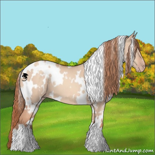 Horse Color:White Spotted Gold Champagne Dun 