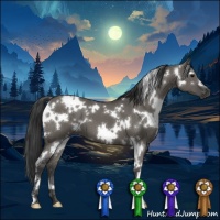 Horse Color:White Spotted Grullo