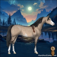 Horse Color:Brown Dun Sabino