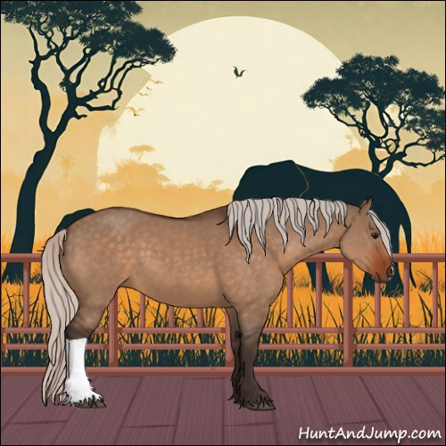 Horse Color:Silver Bay Dun 