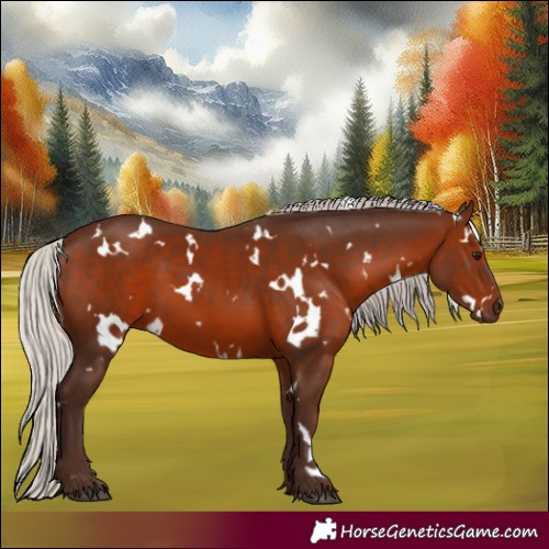 Horse Color:White Spotted Silver Brown 