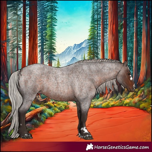 Horse Color:Silver Brown Roan 