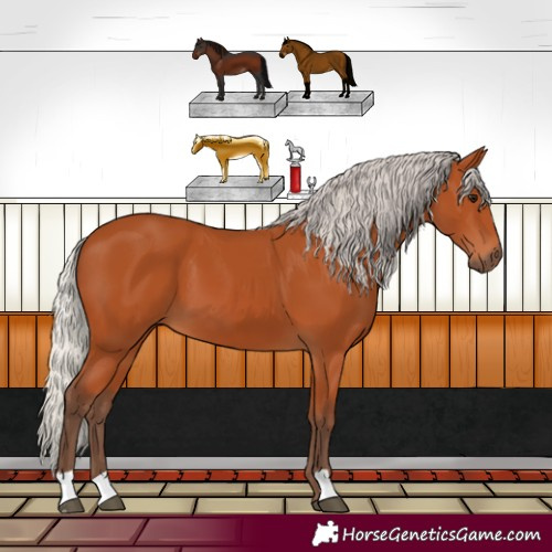 Horse Color:Silver Bay 