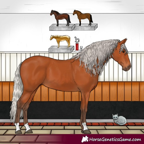 Horse Color:Silver Bay