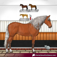 Horse Color:Silver Bay 