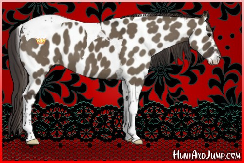 Horse Color:Smoky Grullo Sabino Tobiano Appaloosa 