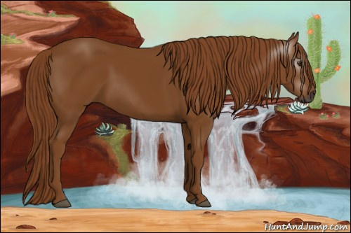 Horse Color:Gray Chestnut 