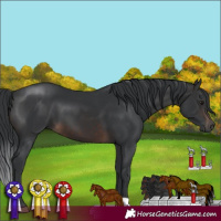 Horse Color:Brown 