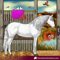 Horse Color:Gray Bay Sabino