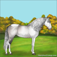 Horse Color:Gray Brown Splash Tobiano 