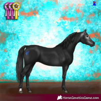 Horse Color:Gray Black 
