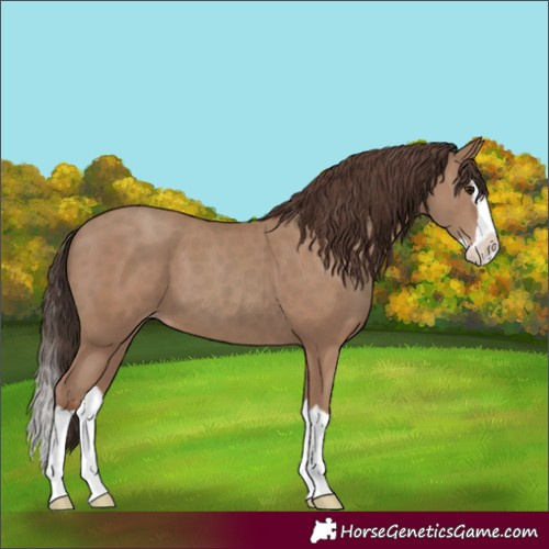 Horse Color:Classic Champagne Splash 