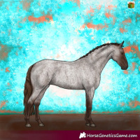 Horse Color:Gray Red Roan