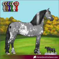 Horse Color:White Spotted Grullo Chinchilla 