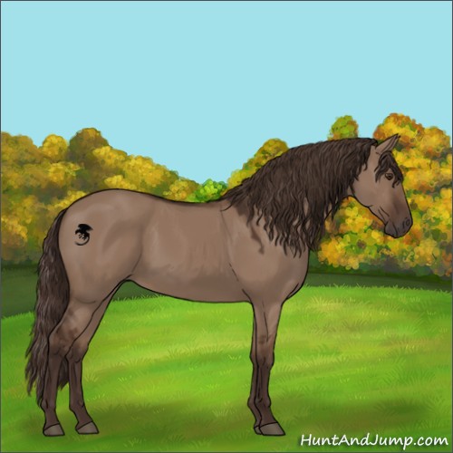 Horse Color:Liver Red Dun 