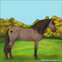 Horse Color:Liver Red Dun 