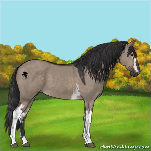 Horse Color:White Spotted Brown Dun 