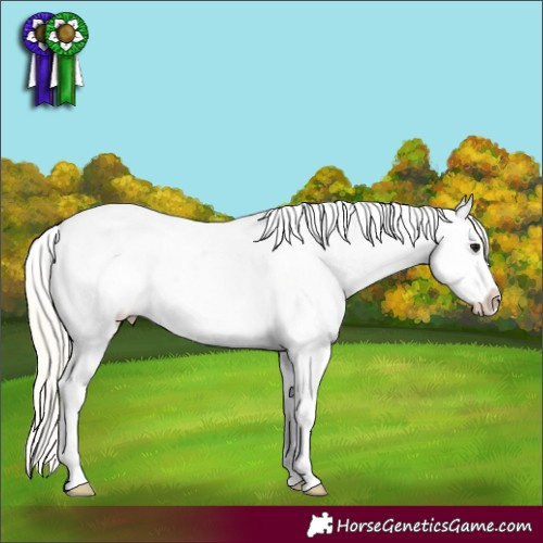 Horse Color:Silver Smoky Grullo Splash Near Fewspot 