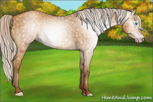 Horse Color:Gray Silver Sable Cream Champagne 