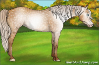 Horse Color:Gray Silver Sable Cream Champagne 