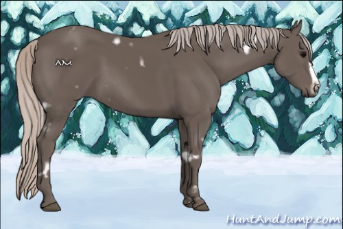 Horse Color:White Spotted Silver Black Frame