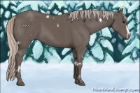 Horse Color:White Spotted Silver Black Frame 