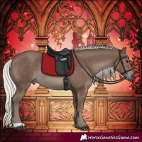 Horse Color:Silver Black 