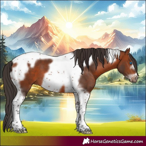 Horse Color:Bay Tobiano Frame 