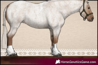 Horse Color:Silver Grullo Roan Tobiano 