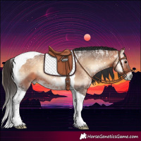 Horse Color:Bay Ice Onyx Tobiano 
