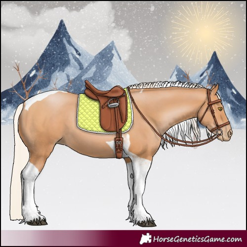 Horse Color:Silver Bay Pearl Tobiano