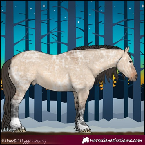 Horse Color:Bay Ice Dun