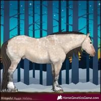 Horse Color:Bay Ice Dun 