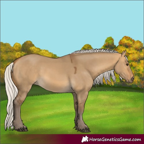 Horse Color:Silver Buckskin Dun Rabicano 