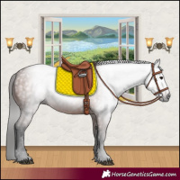 Horse Color:Gray Bay