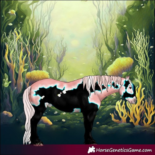 Horse Color:Watercolor Silver Black Splash Frame 