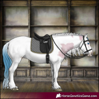 Horse Color:Watercolor Bay Splash Tobiano Frame 