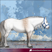 Horse Color:Gray Bay Dun 