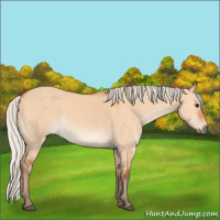 Horse Color:Silver Bay Dun 