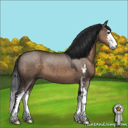 Horse Color:Brown Dun Sabino 
