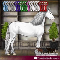 Horse Color:Silver Brown Dun Sabino Blanket 
