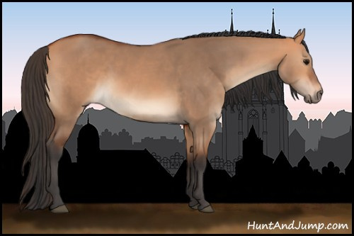 Horse Color:Bay Dun