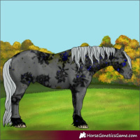 Horse Color:ERROR: UNKNOWN ANOMALY
