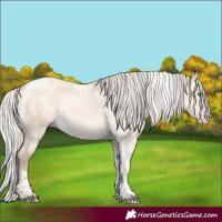 Horse Color:Silver Amber Champagne Dun Tobiano