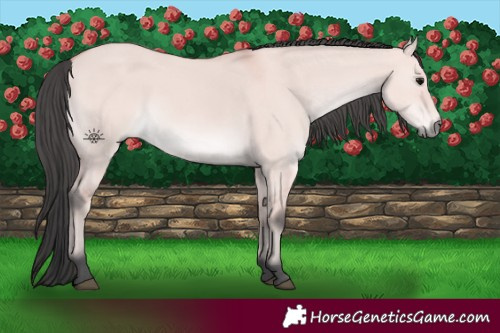 Horse Color:Platinum Bay Dun